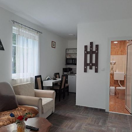Vila Mozart - Apartments & Studios Копаоник Экстерьер фото