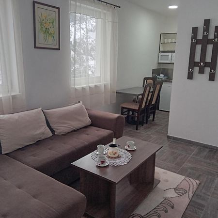 Vila Mozart - Apartments & Studios Копаоник Экстерьер фото