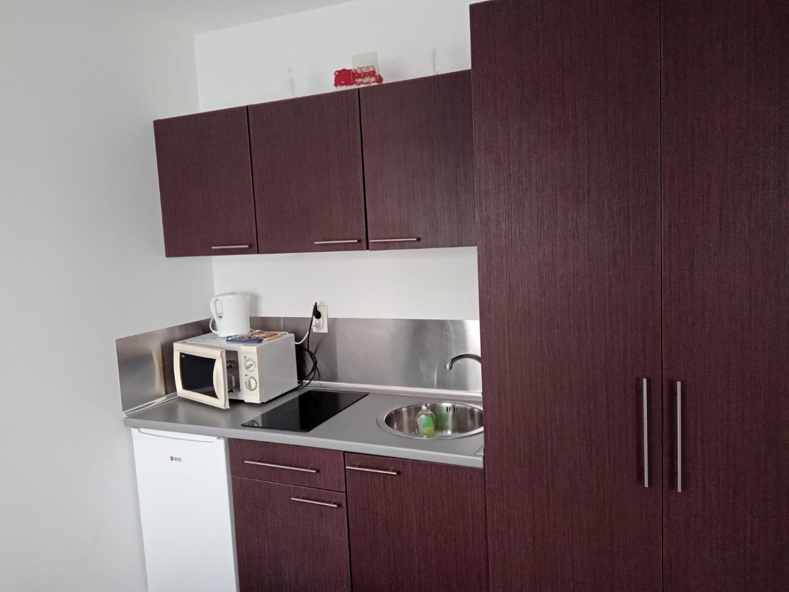 Vila Mozart - Apartments & Studios Копаоник Экстерьер фото